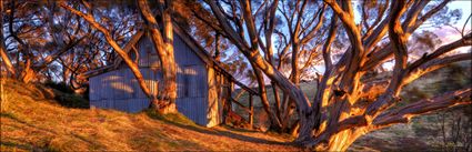 Cope Hut - VIC H (PBH3 00 34384)